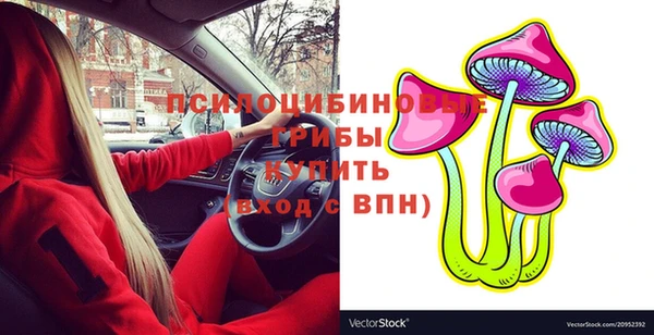 ПСИЛОЦИБИНОВЫЕ ГРИБЫ Михайловка